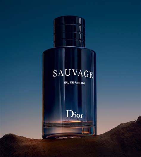 salvage dior parfum